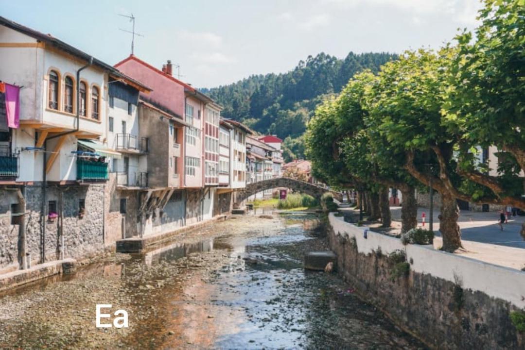 Apartament Monzubi Etxi Gernika-Lumo Zewnętrze zdjęcie